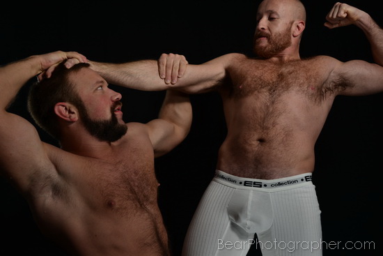 muscle bears domination - erotic pictures