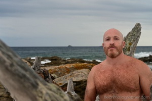 Ginger muscle bear at Corsica cost and beaches