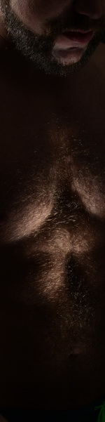 hairy furry musclebears and art - pictures and photo shoots