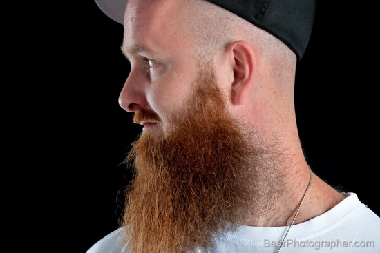 bearded red haired men photography - young hairy bear studio shots