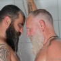 tattooed male and mature daddy muscle bear sexy masculine men