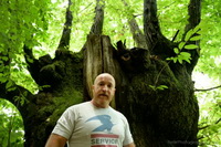 stocky bear oudoor in the woods