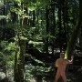 bears naked outside  - erotic photo shooting