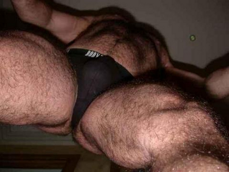 exciting bear wrestling singlets photos