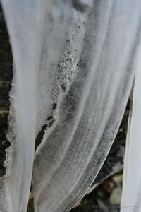 Frozen Water - nature is the artist - winter impression from the sout of the Alps