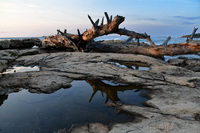 Coast of Corse - fotografia forte da natureza masculina 