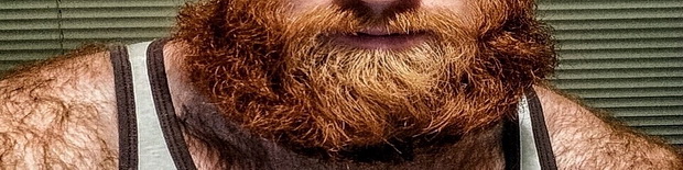 ginger bearded stocky men free photo shoot