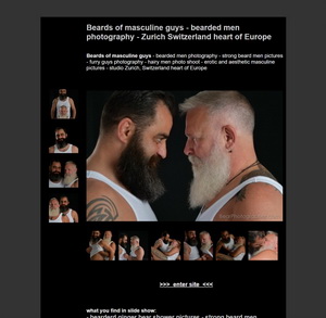 Beards of masculine guys - bearded men photography