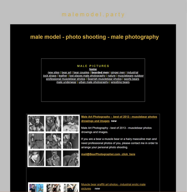 Male Model party - professional photo shooting fun